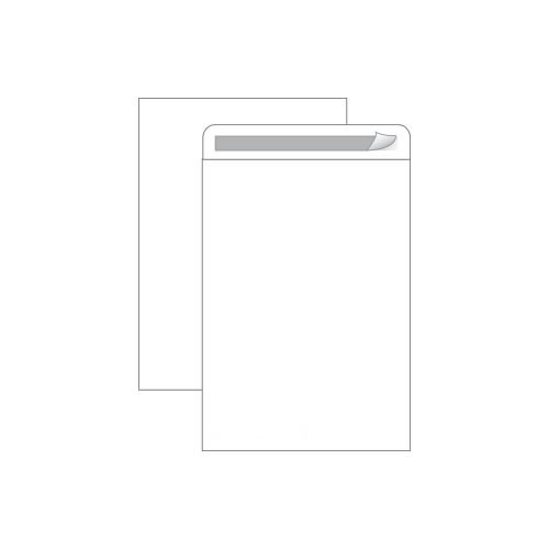 Envelopes Saco Branco 250X353mm 90gr Autodex Cx250